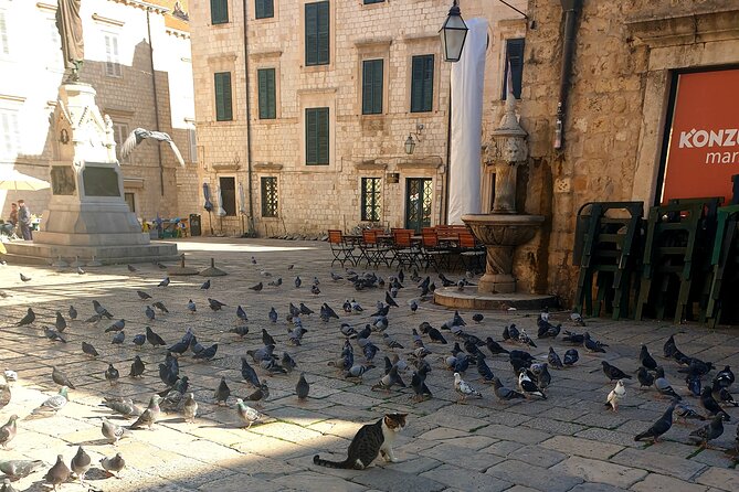 Private Fort Lovrijenac and Dubrovnik City Tour - Meeting Point