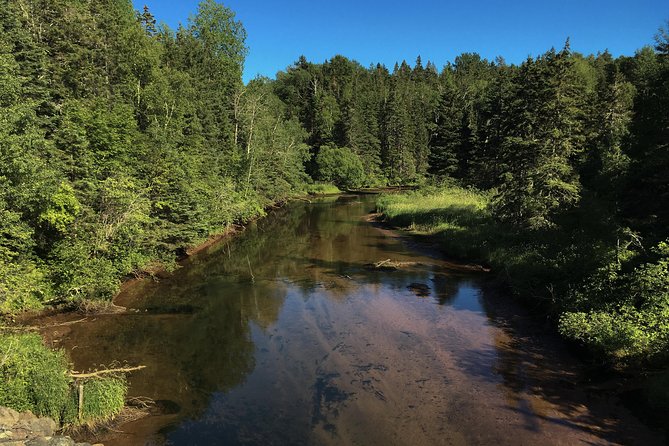 Private Four-Hour Guided Fly Fishing Experience - Prince Edward Island - Beginner-Friendly Lessons and Knowledgeable Guide