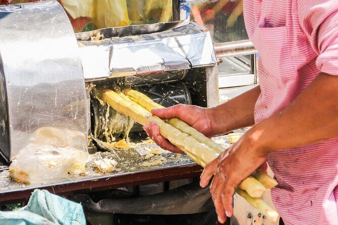 Private French Caribbean Rum Tour with Tastings - Practical Aspects and Value