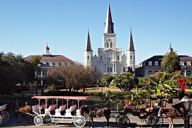 Private French Quarter Walking and City Surrounding Neighborhoods Driving Tour - Tour Overview and Details