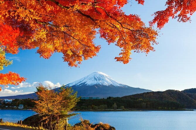 Private Fuji Full-day Car Tour with Hotel Pickup -Local Guide - FAQ