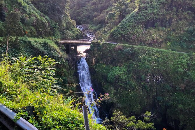 PRIVATE Full Circle Reverse - Luxury Road to Hana Tour From South Maui - Traveler Photos and Reviews