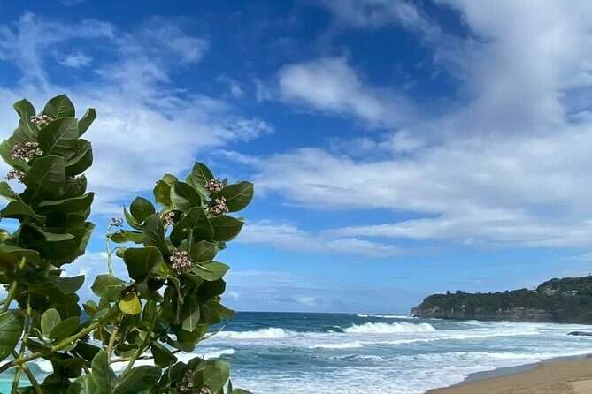 Private Full Day Aguadilla Sightseeing Tour - Final Thoughts: Is This Tour Right for You?