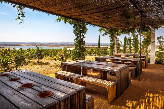 Private Full-Day Alentejo Wine Tour - Tour Highlights