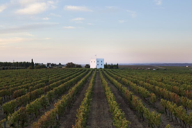 Private Full-Day Alentejo Wine Tour - Itinerary