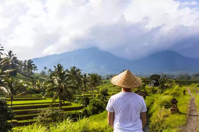 Private Full Day Bali Tour with Driver - Who Is This Tour Best Suited For?