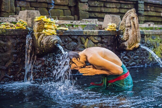 Private Full Day Bali Tour with Driver - The Sum Up