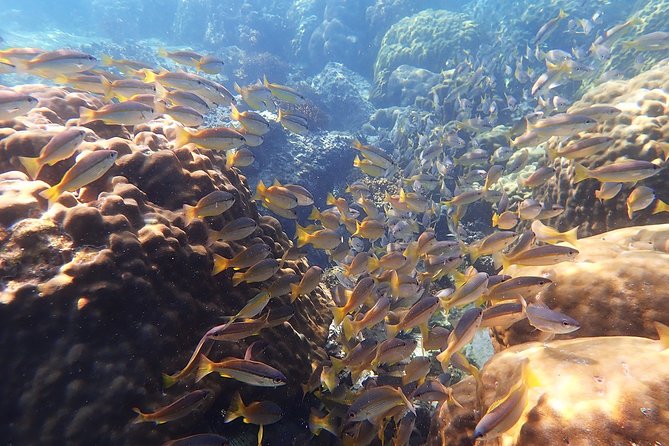 Private Full-Day Blue Dragon Yacht to Angthong National Marine Park - Activities and Highlights at Angthong National Marine Park