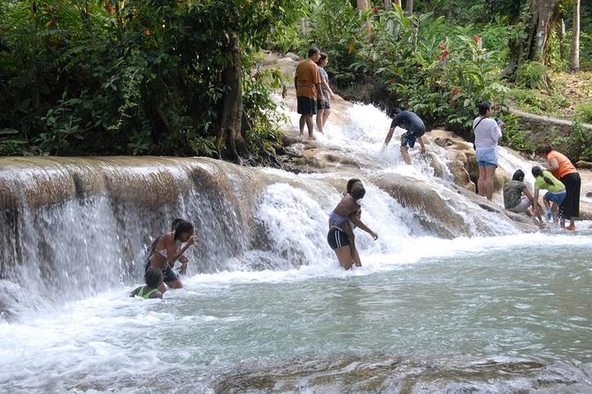 Private Full Day Blue Hole and Dunns River Shore Excursion From Falmouth - Inclusions