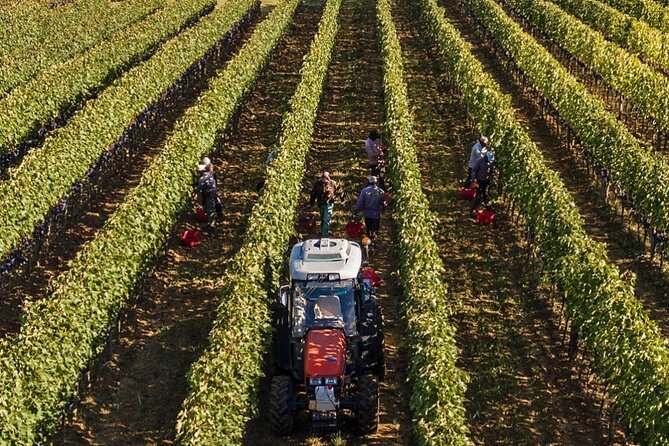 PRIVATE Full-Day Brunello Wine Experience From Florence - Tuscanys Premier Wine Country