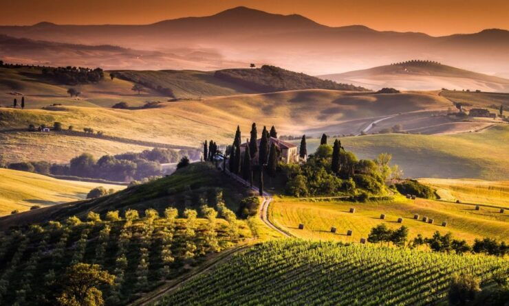 Private Full-Day Brunello Wine Tour of Montalcino - Tour Highlights