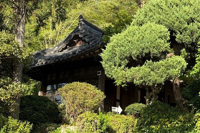 Private Full-Day Busan Tour with Personal Driver - FAQs