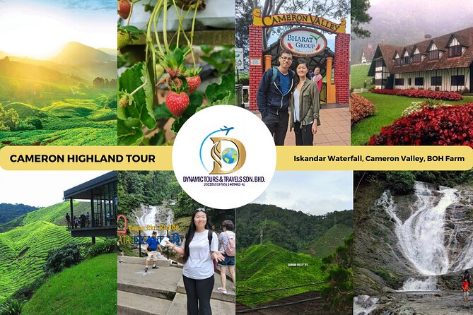 Private Full-Day Cameron Highlands Nature Tour From Kuala Lumpur - Good To Know