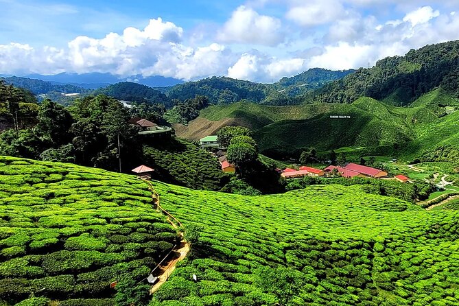 Private Full-Day Cameron Highlands Nature Tour From Kuala Lumpur - Tour Details and Wearables