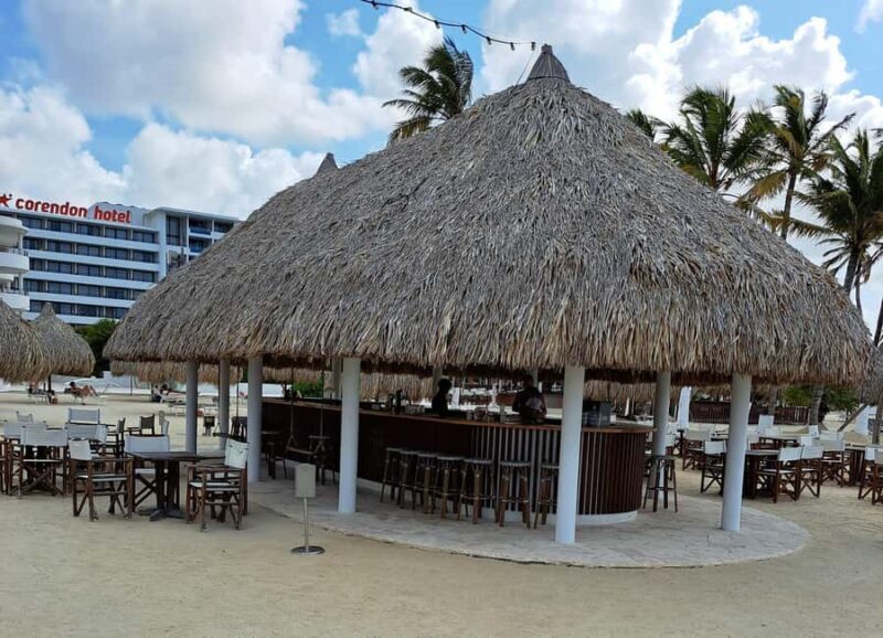 Private: Full-Day Catalina Reef & Beach Escape by Catamaran - Good To Know