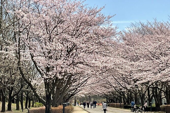 Private Full-Day Cherry-Blossom Tour of Tokyo With Tsukiji - Tour Details