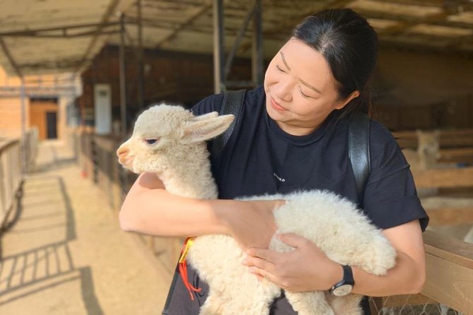 Private Full-Day Chilean Treasures Nature Tour: Alpacas and Penguins - Cancellation Policy Details