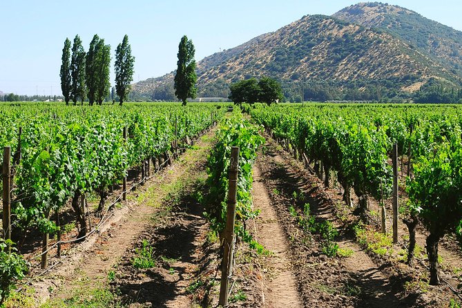 Private Full Day City Tour of Santiago With Wine Experience - Important Information