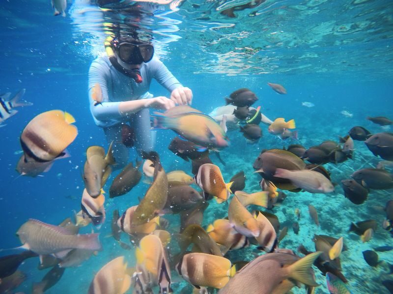 Private Full-Day Customizable City Tour - Three small islands, one full day