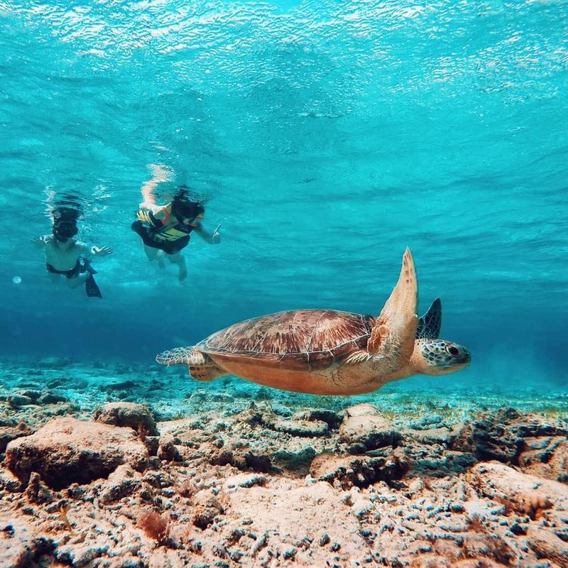 Private Full-Day Customizable City Tour - Coral, fish, and responsible snorkeling