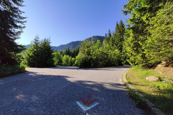 Private Full Day Cycling Tour in the Rhodope Mountains From Plovdiv - Price and Group Size