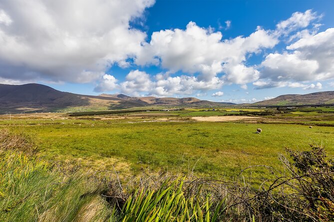 Private Full-Day Dingle Peninsula Slea Head Drive Tour - Tour Highlights