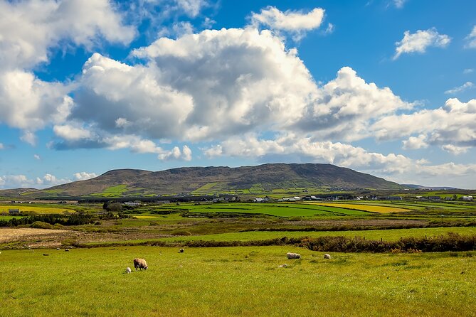 Private Full-Day Dingle Peninsula Slea Head Drive Tour - Weather Considerations