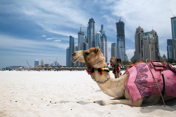 Private Full Day Dubai City Tour - Tour Duration and Inclusions