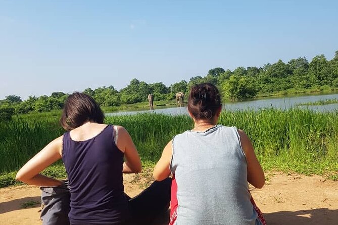 Private Full Day Elephant Safari Tour in Mole National Park Ghana - Additional Info