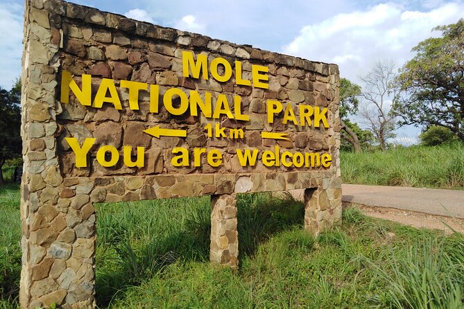 Private Full Day Elephant Safari Tour in Mole National Park Ghana - Itinerary