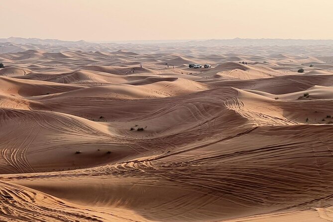 Private Full Day Empty Quarter Liwa Safari With Lunch - Desert Lunch Buffet