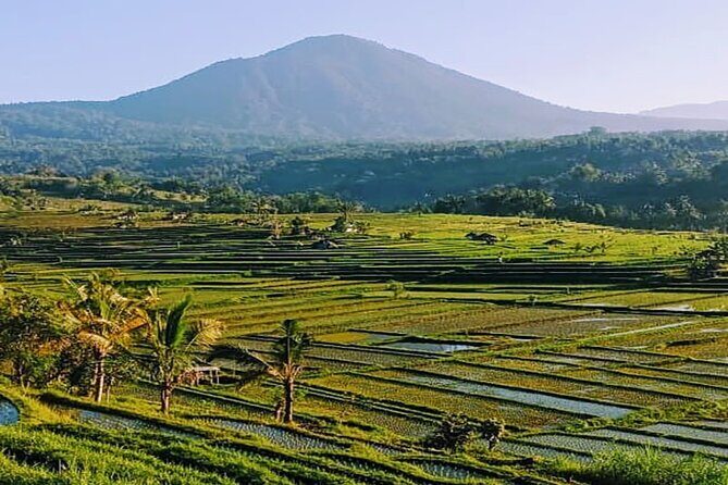 Private Full Day Enjoy Bedugul and Jatiluwih Rice Terrace - Frequently Asked Questions (FAQs)