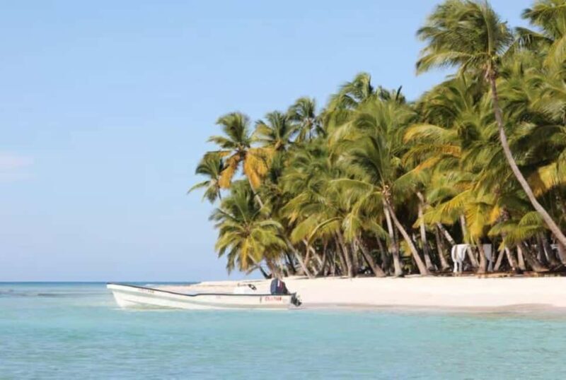 Private: Full-Day Excursion from Chavón & Saona Island - Exploring the Itinerary in Detail