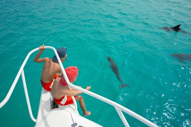 Private Full Day Fish, Snorkel and Cruise on Serendipity - The Sum Up