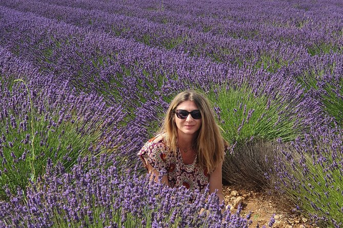 Private Full-day French Riviera and Hilltop Villages Tour - Itinerary Overview