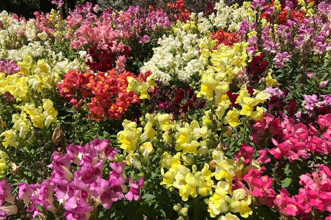 Private Full-Day Girona GOT and Costa Brava Tour - The Sum Up