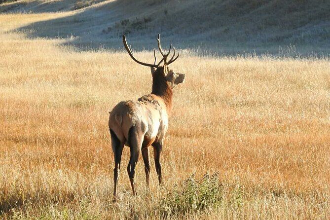 Private Full Day Guided Tour at Banff Iconic Attraction - FAQ