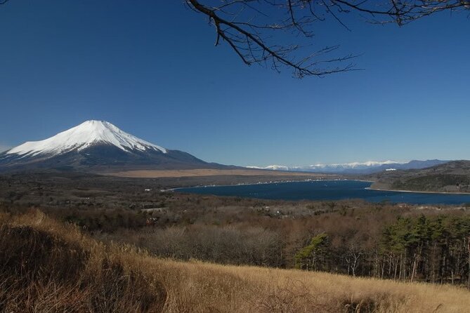 Private Full-Day Guided Tour in Mount Fuji Lakes - Lunch and Admissions