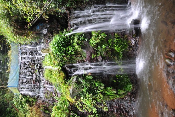Private Full-Day Guided Tour in Mount Fuji Lakes - More Admissions