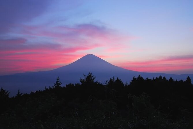 Private Full-Day Guided Tour in Mount Fuji Lakes - Meeting and Pickup