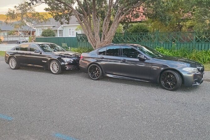 PRIVATE Full Day guided tour of Wellington including Te Papa Tour - A Practical and Authentic Day in Wellington