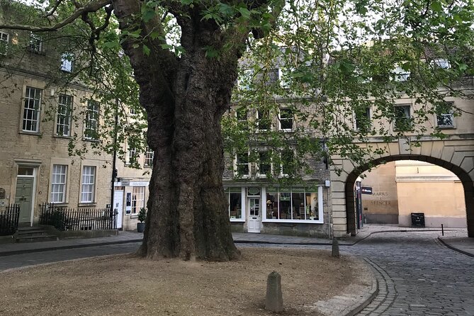 Private Full Day Guided Tour to Bath and Stonehenge - Traveler Photos and Reviews