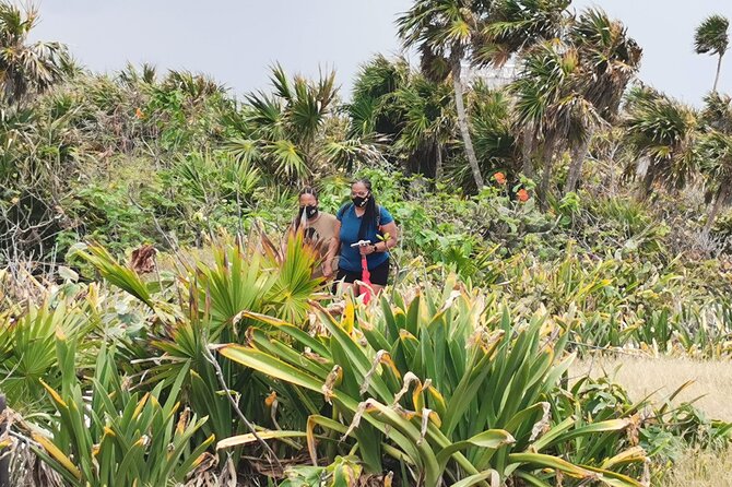 Private Full-Day Guided Tulum Coba and Cenote Tour With Lunch - Directions