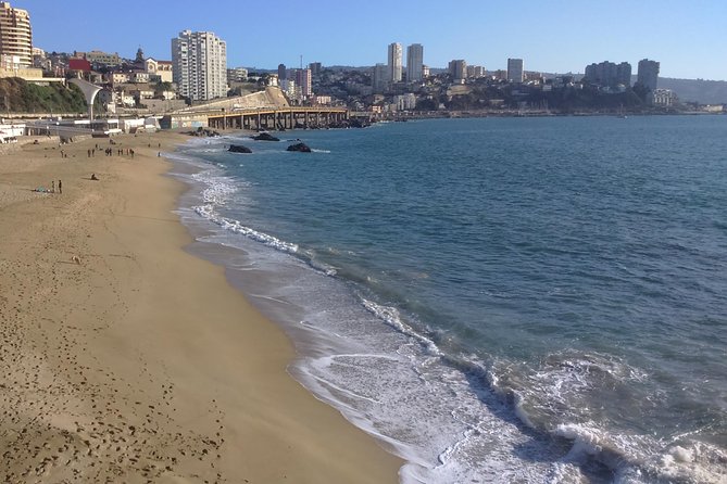 Private Full-Day Guided Valparaiso and Vina Del Mar Tour From Santiago - Itinerary Highlights