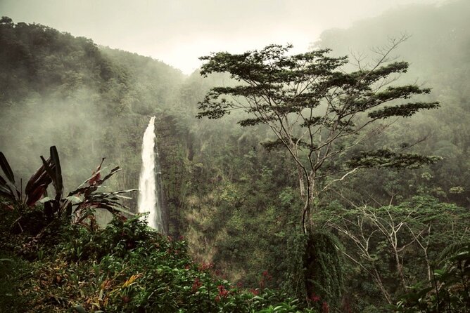 Private Full-Day Hamakua Coast and Sugar Tour From Kailua-Kona - Traveler Photos and Reviews
