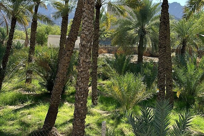 Private Full Day Hatta Visit Tour - Booking Information