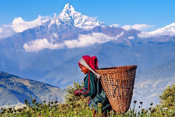 Private Full-Day Hike in the Annapurna Foothills in Pokhara - Annapurna Foothills: a Scenic Hiking Destination