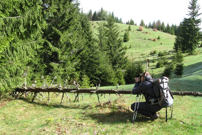 Private Full-Day Hiking Adventure in Padis Karst Plateau - Activity Details