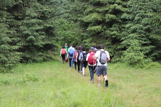 Private Full-Day Hiking Adventure in Padis Karst Plateau - Location
