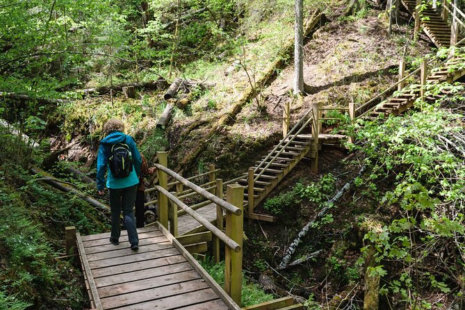 Private Full-Day Hiking Tour in Sigulda and Gauja National Park - Additional Information
